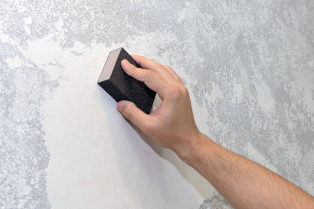 Best Crawl Space Mold Remediation  in Port Angeles East, WA
