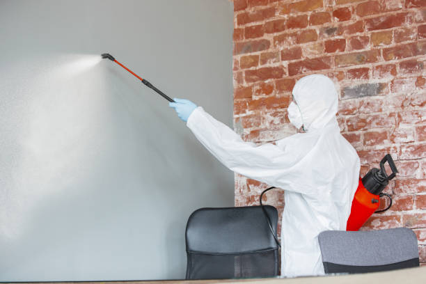Best HVAC Mold Inspection and Cleaning  in Port Angeles East, WA