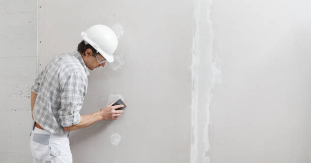  Port Angeles East, WA Mold Removal Pros