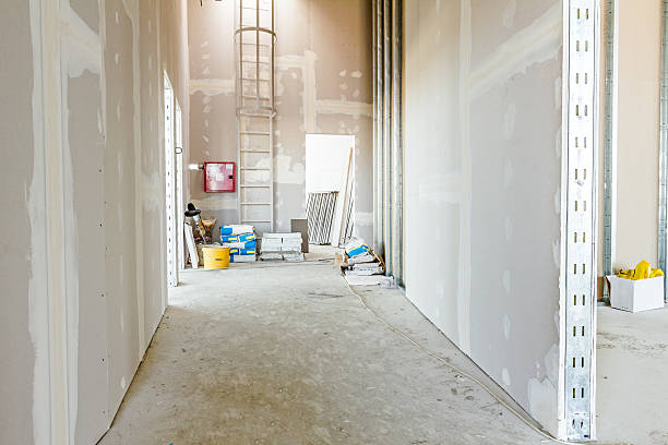 Best Mold Removal for HVAC Installations  in Port Angeles East, WA